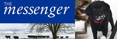 Blackhawk Community Credit Union Winter 2020 newsletter