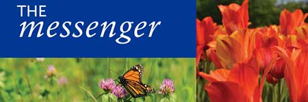 Blackhawk Community Credit Union Spring 2019 newsletter